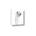Picture of Ostrich Peekaboo _GroupedProduct_Rectangle_Portrait_Mini_ _GroupedProduct_Rectangle_Portrait_Canvas_