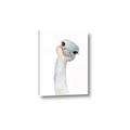 Picture of Ostrich Peekaboo _GroupedProduct_Rectangle_Portrait_Mini_ _GroupedProduct_Rectangle_Portrait_Canvas_