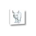 Picture of Tiny Rhino _GroupedProduct_Square_Mini_ _GroupedProduct_Square_Canvas_