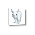 Picture of Tiny Rhino _GroupedProduct_Square_Mini_ _GroupedProduct_Square_Canvas_
