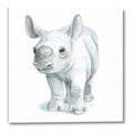 Picture of Tiny Rhino _GroupedProduct_Square_Mini_ _GroupedProduct_Square_Canvas_