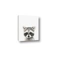 Picture of Coon Baby _GroupedProduct_Rectangle_Portrait_Mini_ _GroupedProduct_Rectangle_Portrait_Canvas_