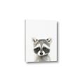 Picture of Coon Baby _GroupedProduct_Rectangle_Portrait_Mini_ _GroupedProduct_Rectangle_Portrait_Canvas_