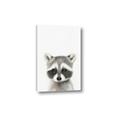 Picture of Coon Baby _GroupedProduct_Rectangle_Portrait_Mini_ _GroupedProduct_Rectangle_Portrait_Canvas_