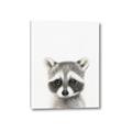 Picture of Coon Baby _GroupedProduct_Rectangle_Portrait_Mini_ _GroupedProduct_Rectangle_Portrait_Canvas_
