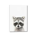 Picture of Coon Baby _GroupedProduct_Rectangle_Portrait_Mini_ _GroupedProduct_Rectangle_Portrait_Canvas_
