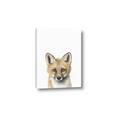 Picture of Foxy Baby _GroupedProduct_Rectangle_Portrait_Mini_ _GroupedProduct_Rectangle_Portrait_Canvas_