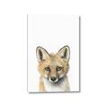Picture of Foxy Baby _GroupedProduct_Rectangle_Portrait_Mini_ _GroupedProduct_Rectangle_Portrait_Canvas_