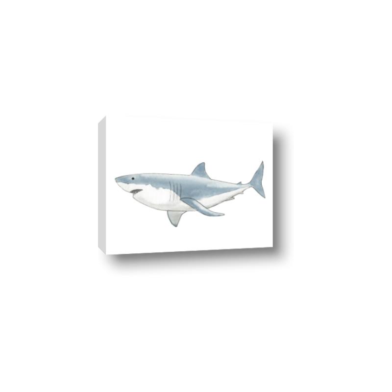 Picture of Great White Shark _GroupedProduct_Rectangle_Landscape_Mini_ _GroupedProduct_Rectangle_Landscape_Canvas_