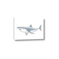 Picture of Great White Shark _GroupedProduct_Rectangle_Landscape_Mini_ _GroupedProduct_Rectangle_Landscape_Canvas_