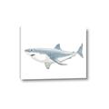 Picture of Great White Shark _GroupedProduct_Rectangle_Landscape_Mini_ _GroupedProduct_Rectangle_Landscape_Canvas_