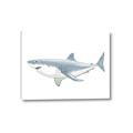 Picture of Great White Shark _GroupedProduct_Rectangle_Landscape_Mini_ _GroupedProduct_Rectangle_Landscape_Canvas_