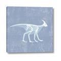 Picture of Blue X-ray Dino I _GroupedProduct_Square_Mini_ _GroupedProduct_Square_Canvas_