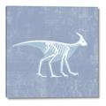 Picture of Blue X-ray Dino I _GroupedProduct_Square_Mini_ _GroupedProduct_Square_Canvas_