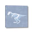Picture of Blue X-ray Dino II _GroupedProduct_Square_Mini_ _GroupedProduct_Square_Canvas_