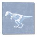 Picture of Blue X-ray Dino II _GroupedProduct_Square_Mini_ _GroupedProduct_Square_Canvas_