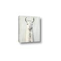 Picture of Brown and White Llama _GroupedProduct_Rectangle_Portrait_Mini_ _GroupedProduct_Rectangle_Portrait_Canvas_