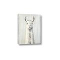Picture of Brown and White Llama _GroupedProduct_Rectangle_Portrait_Mini_ _GroupedProduct_Rectangle_Portrait_Canvas_