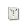Picture of Close-up Giraffe _GroupedProduct_Rectangle_Portrait_Mini_ _GroupedProduct_Rectangle_Portrait_Canvas_