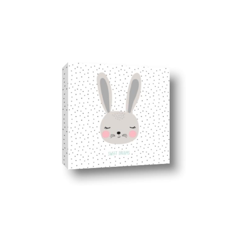 Picture of Sweet Bunny  _GroupedProduct_Square_Mini_ _GroupedProduct_Square_Canvas_