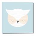Picture of Teal Owl _GroupedProduct_Square_Mini_ _GroupedProduct_Square_Canvas_