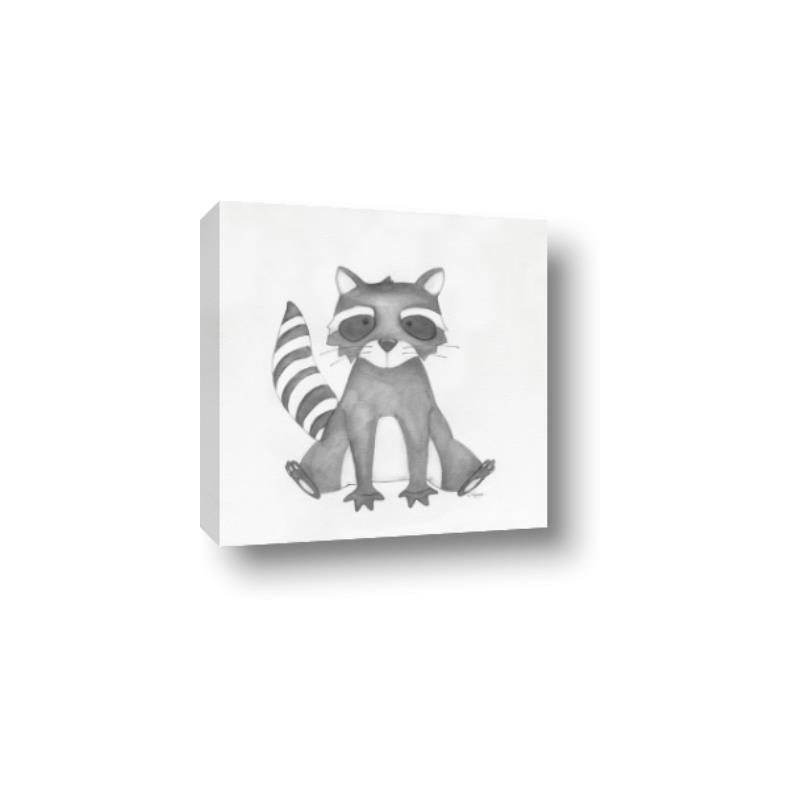 Picture of Nursery Raccoon _GroupedProduct_Square_Mini_ _GroupedProduct_Square_Canvas_