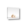 Picture of Together Bunnies _GroupedProduct_Square_Mini_ _GroupedProduct_Square_Canvas_