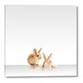 Picture of Together Bunnies _GroupedProduct_Square_Mini_ _GroupedProduct_Square_Canvas_
