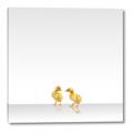 Picture of Together Ducks _GroupedProduct_Square_Mini_ _GroupedProduct_Square_Canvas_