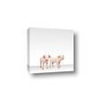 Picture of Together Pigs _GroupedProduct_Square_Mini_ _GroupedProduct_Square_Canvas_