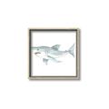 Picture of Great White _GroupedProduct_Square_Mini_ _GroupedProduct_Square_Canvas_Framed_