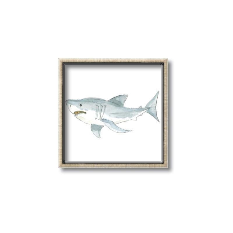Picture of Great White _GroupedProduct_Square_Mini_ _GroupedProduct_Square_Canvas_Framed_