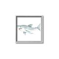 Picture of Great White _GroupedProduct_Square_Mini_ _GroupedProduct_Square_Canvas_Framed_