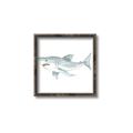 Picture of Great White _GroupedProduct_Square_Mini_ _GroupedProduct_Square_Canvas_Framed_