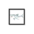 Picture of Great White _GroupedProduct_Square_Mini_ _GroupedProduct_Square_Canvas_Framed_