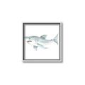 Picture of Great White _GroupedProduct_Square_Mini_ _GroupedProduct_Square_Canvas_Framed_