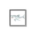 Picture of Great White _GroupedProduct_Square_Mini_ _GroupedProduct_Square_Canvas_Framed_