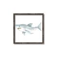 Picture of Great White _GroupedProduct_Square_Mini_ _GroupedProduct_Square_Canvas_Framed_