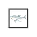 Picture of Great White _GroupedProduct_Square_Mini_ _GroupedProduct_Square_Canvas_Framed_