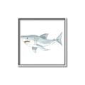 Picture of Great White _GroupedProduct_Square_Mini_ _GroupedProduct_Square_Canvas_Framed_