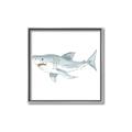 Picture of Great White _GroupedProduct_Square_Mini_ _GroupedProduct_Square_Canvas_Framed_