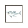 Picture of Great White _GroupedProduct_Square_Mini_ _GroupedProduct_Square_Canvas_Framed_