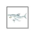 Picture of Great White _GroupedProduct_Square_Mini_ _GroupedProduct_Square_Canvas_Framed_