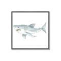 Picture of Great White _GroupedProduct_Square_Mini_ _GroupedProduct_Square_Canvas_Framed_