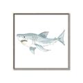 Picture of Great White _GroupedProduct_Square_Mini_ _GroupedProduct_Square_Canvas_Framed_