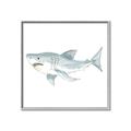 Picture of Great White _GroupedProduct_Square_Mini_ _GroupedProduct_Square_Canvas_Framed_