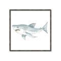 Picture of Great White _GroupedProduct_Square_Mini_ _GroupedProduct_Square_Canvas_Framed_