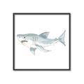 Picture of Great White _GroupedProduct_Square_Mini_ _GroupedProduct_Square_Canvas_Framed_