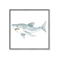 Picture of Great White _GroupedProduct_Square_Mini_ _GroupedProduct_Square_Canvas_Framed_