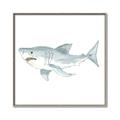 Picture of Great White _GroupedProduct_Square_Mini_ _GroupedProduct_Square_Canvas_Framed_